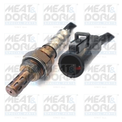Oxygen Sensor